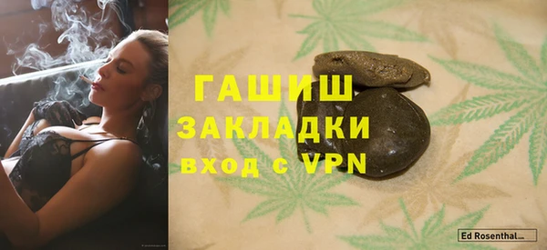 индика Алзамай