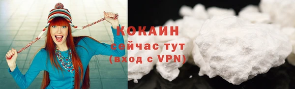 дурь Пересвет